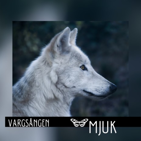 Vargsången (Cover) | Boomplay Music