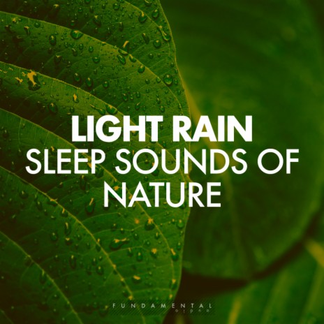 Nature Sounds (Original Mix)