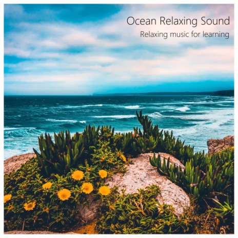 Ocean Ambiance ft. Sleep Tight | Boomplay Music