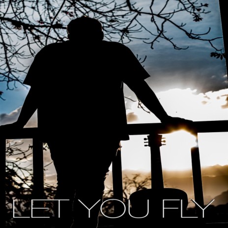 Let You Fly | Boomplay Music