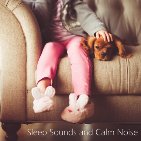 Brown Looped Noise to Sleep (Calm Womb Sounds) ft. Sleeping Infant | Boomplay Music
