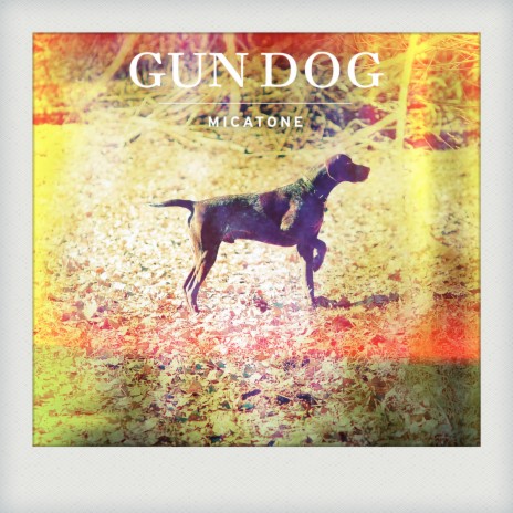 Gun Dog | Boomplay Music