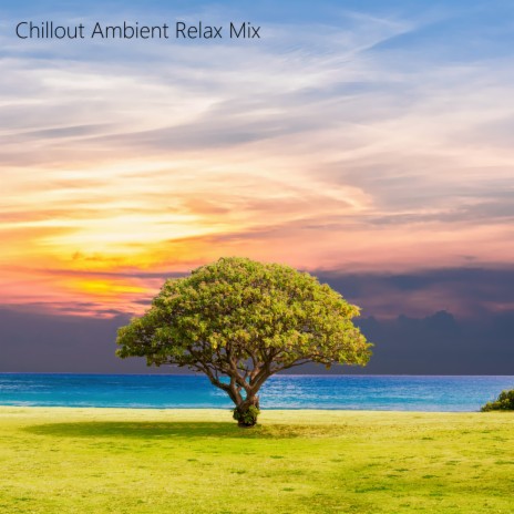 Chillout Ambient - Study Background ft. Best Meditation & Relax and Spa  Music MP3 Download & Lyrics | Boomplay
