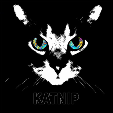 Kalico Kat | Boomplay Music