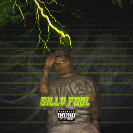 Silly Fool | Boomplay Music