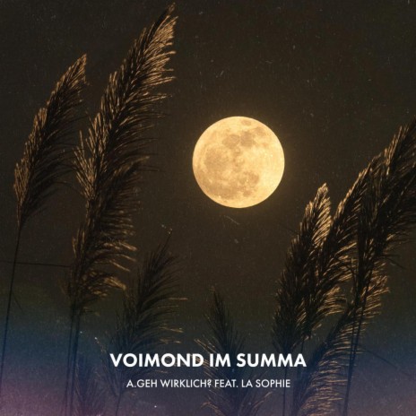Voimond im Summa ft. La Sophie | Boomplay Music