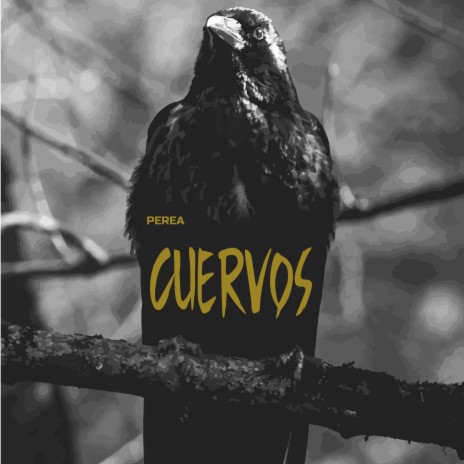 Cuervos | Boomplay Music