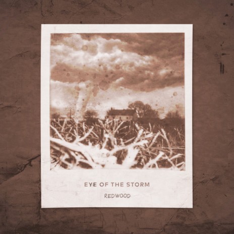 Eye of the Storm | Boomplay Music