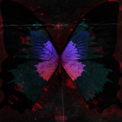 Kill My Butterflies ft. Sparkle | Boomplay Music