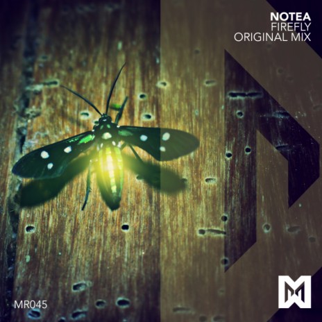 Firefly (Original Mix) | Boomplay Music