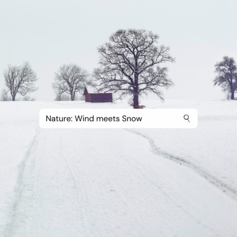 Nature Wind Snow Sound | Boomplay Music