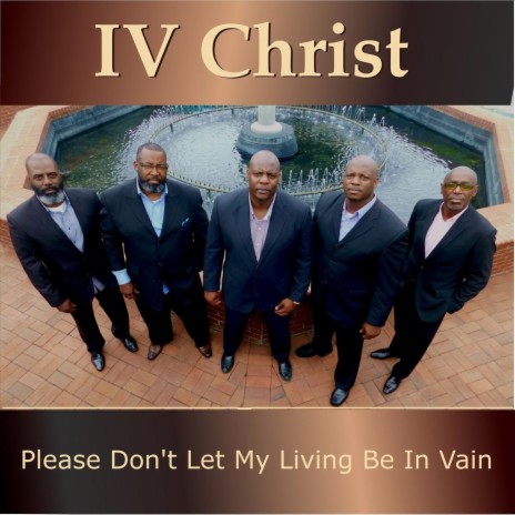 Please Dont Let My Living Be in Vain | Boomplay Music