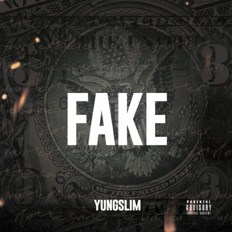 Fake | Boomplay Music