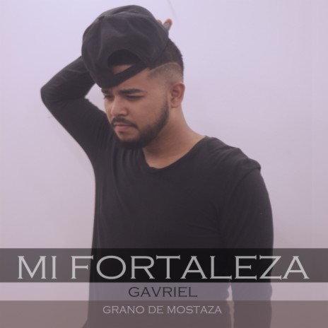 Mi Fortaleza | Boomplay Music