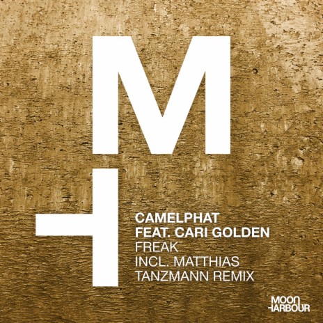 Freak (Matthias Tanzmann Remix) ft. Cari Golden | Boomplay Music