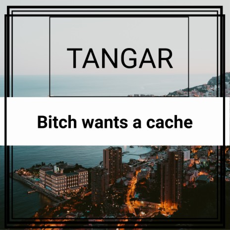 Bitch Wants a Cache