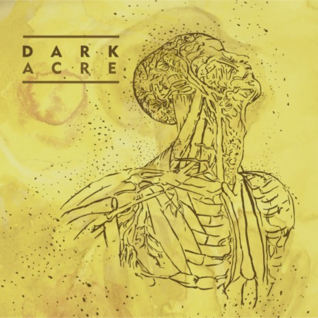 Acre | Boomplay Music