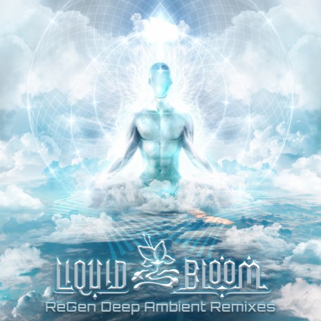 Resonant Migration (Temple Step Project Ambient Remix) ft. Deya Dova | Boomplay Music