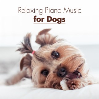 relaxing piano music for dogs