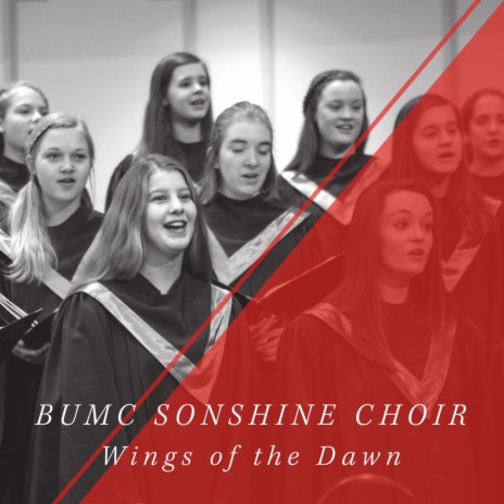 Wings of the Dawn | Boomplay Music