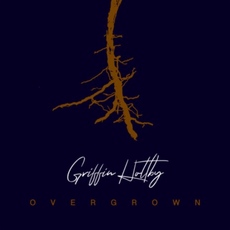 Overgrown | Boomplay Music