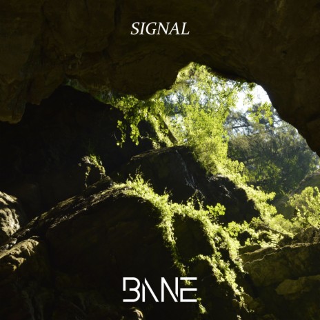 Signal | Boomplay Music