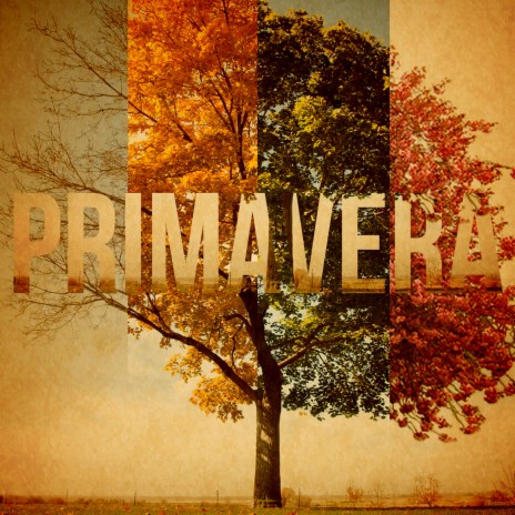 Primavera | Boomplay Music