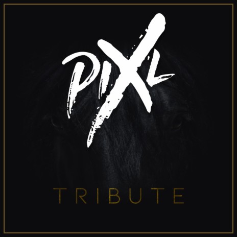 Tribute | Boomplay Music