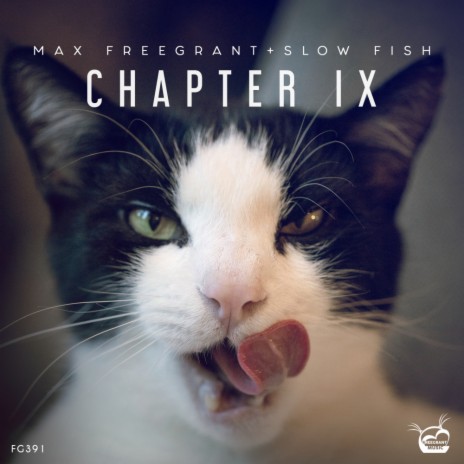 Chapter IX (Radio Edit) ft. Slow Fish