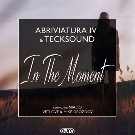 In the Moment (Niado Remix) ft. TeckSound | Boomplay Music