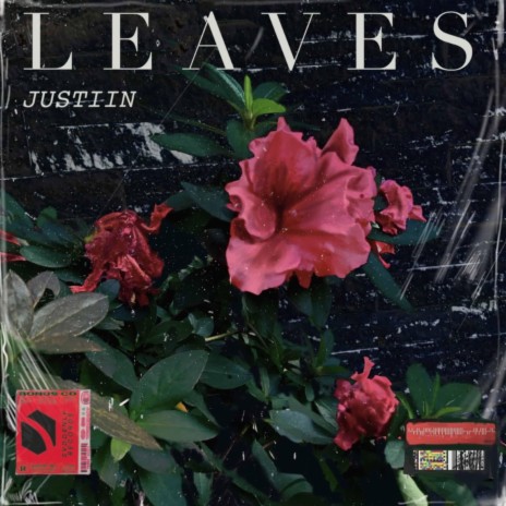 Leaves | Boomplay Music