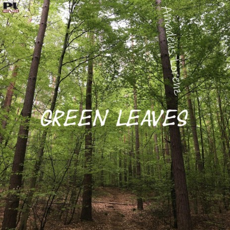 Green Leaves | Boomplay Music