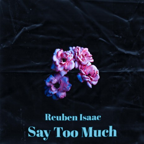 Say Too Much | Boomplay Music