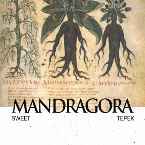 Mandragora ft. Tepek