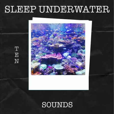 Underwater Sounds ft. Nature Sounds XLE Library | Boomplay Music