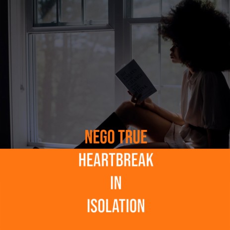 Heartbreak In Isolation | Boomplay Music