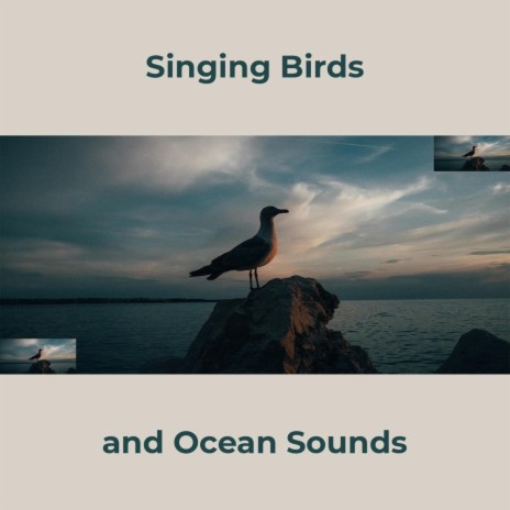 Piano Music and Sounds of Nature (Natural Noise) | Boomplay Music
