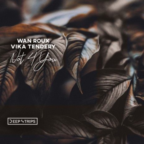 Not 4 You (Original Mix) ft. Vika Tendery | Boomplay Music