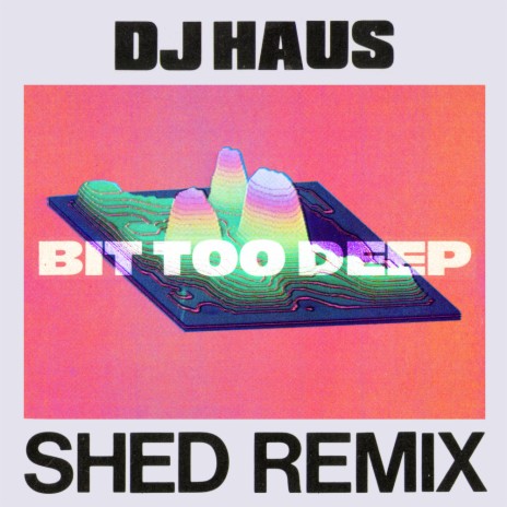 Bit Too Deep (Shed Remix) ft. Shed | Boomplay Music