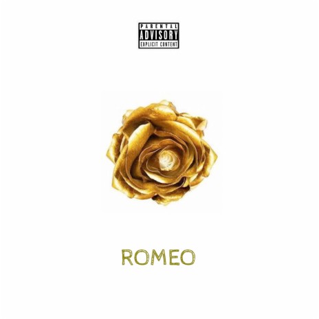 Gold Roses | Boomplay Music