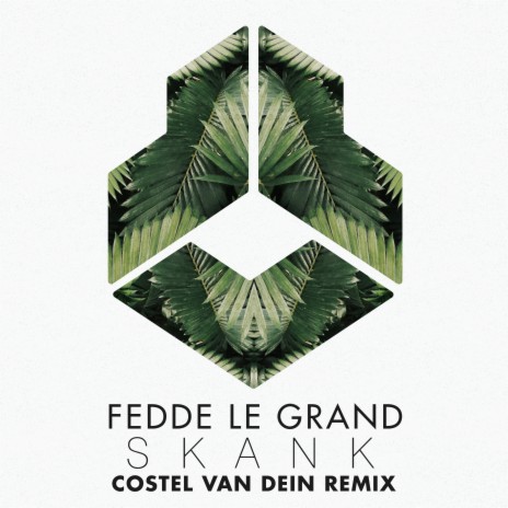 Skank (Costel van Dein Remix) ft. Costel Van Dein | Boomplay Music