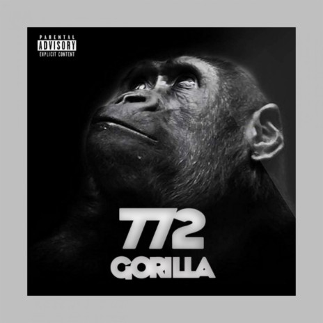 772 Gorilla | Boomplay Music