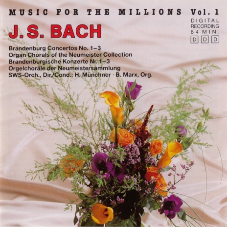 Brandenburg Concerto, No. 1 in F-Major, BWV 1046: II. Adagio | Boomplay Music