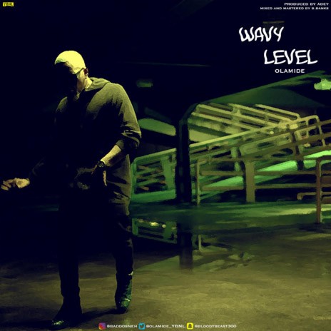 Wavy Level