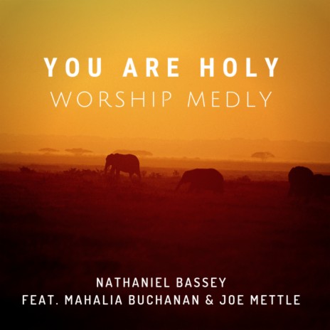 You Are Holy (Worship Medly) ft. Mahalia Buchanan & Joe Mettle | Boomplay Music