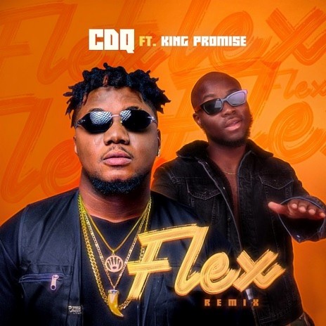 Flex (Remix) ft. King Promise | Boomplay Music