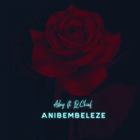 Nani Anibembeleze ft. Q Chief | Boomplay Music