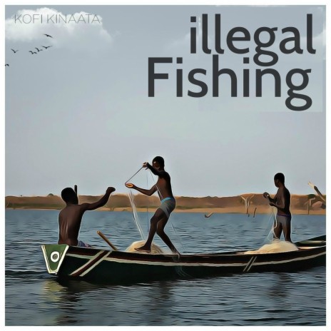 Illegal Fishing | Boomplay Music