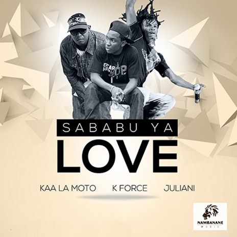Sababu Ya Love | Boomplay Music