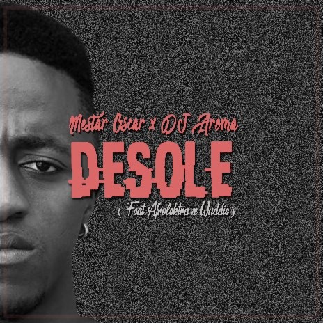 Desole ft AFROLEKTRA x WvDDie | Boomplay Music